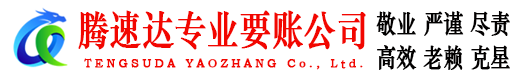 丽水清债公司